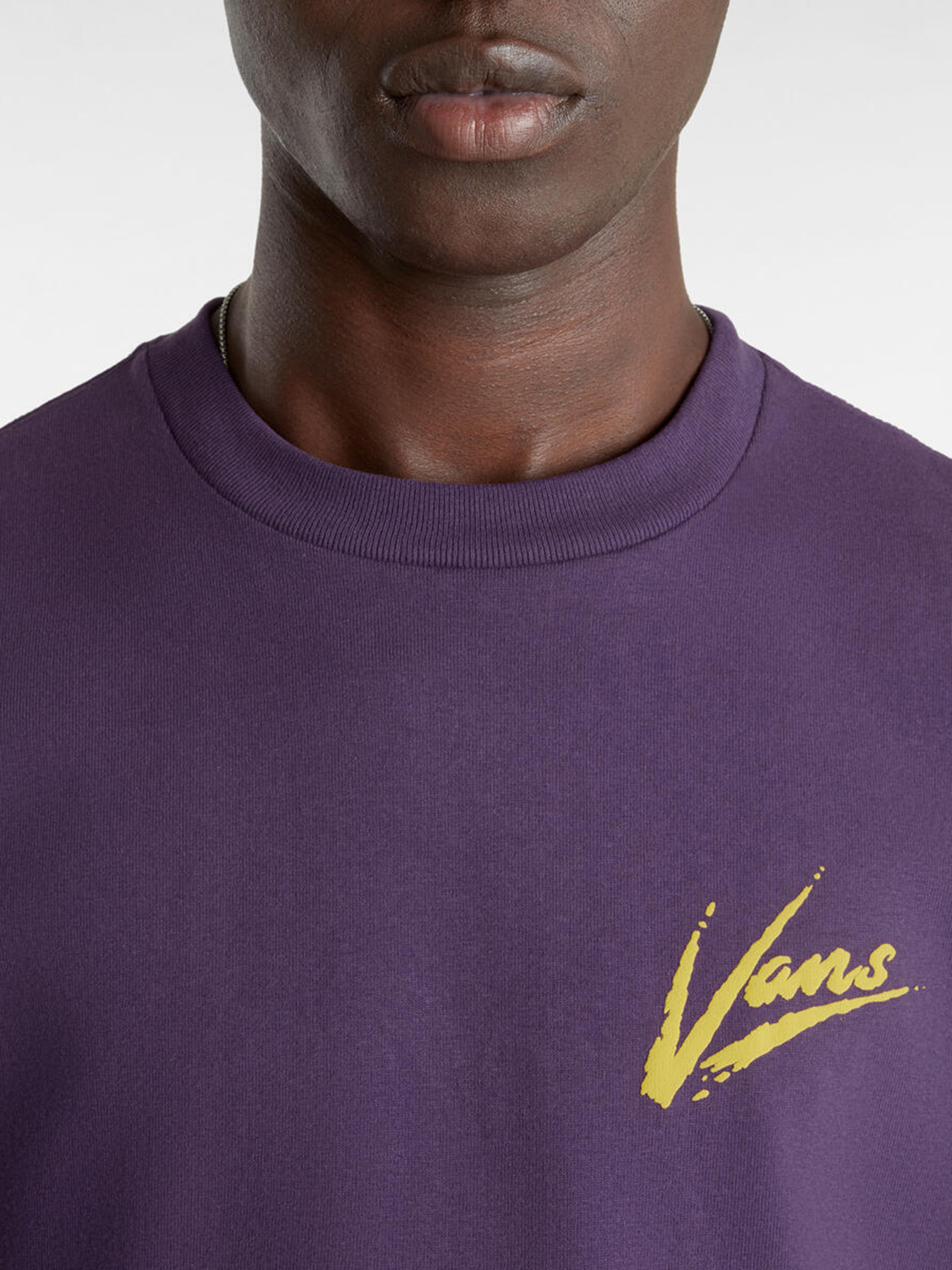 Футболка Vans Dettori Loose модель VN000K4211E1 Фото