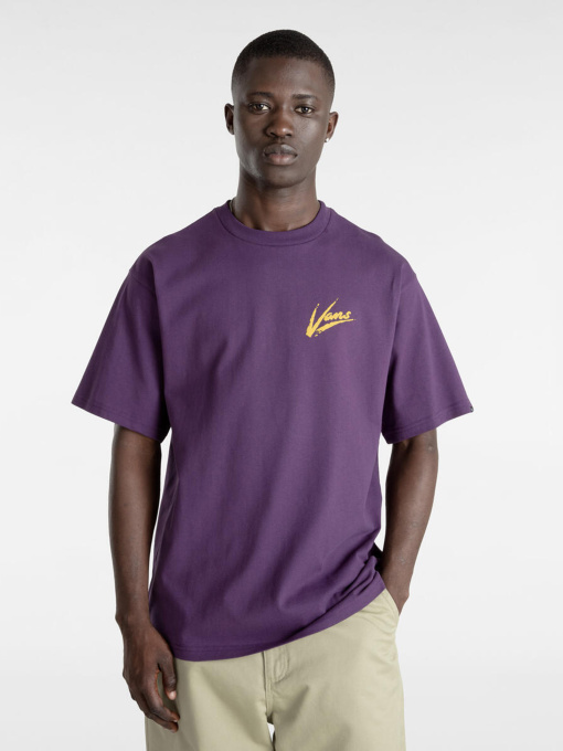 Футболка Vans Dettori Loose модель VN000K4211E1 Фото