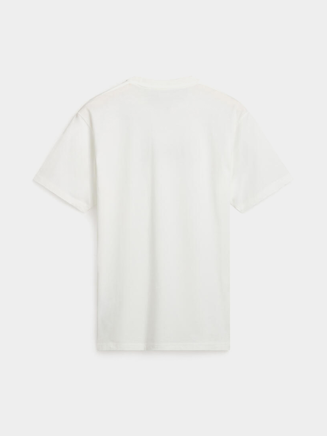 Футболка Vans Last Remains модель VN000JNJFS81 Фото