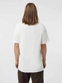 Футболка Vans Last Remains модель VN000JNJFS81 Фото