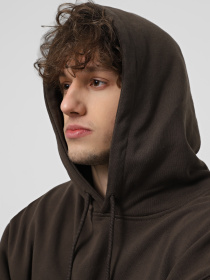 Худі Vans Original Standarts Loose модель VN000GE8D4C1 Фото