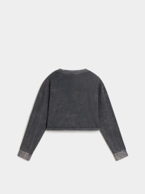 Лонгслив Vans Oval Wash Relax Crop модель VN000HJ5BLK1 Фото