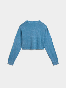 Лонгслив Vans Oval Wash Relax Crop модель VN000HJ5JCN1 Лонгслив Vans Oval Wash Relax Crop модель VN000HJ5JCN1 Фото