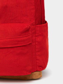 Рюкзак Vans Old Skool Sport 22L модель VN000HRJIZQ1 Фото