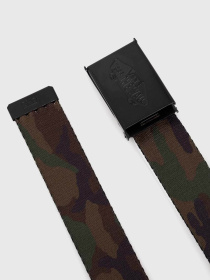 Ремінь Vans Classic Web модель VN000HTS97I1 Фото