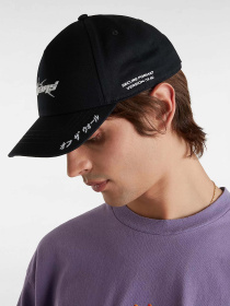 Кепка Vans Y2v Strapback модель VN000NBQBLK1 Фото