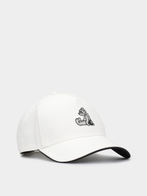 Кепка Vans Y2v Strapback модель VN000NBQFS81 Фото