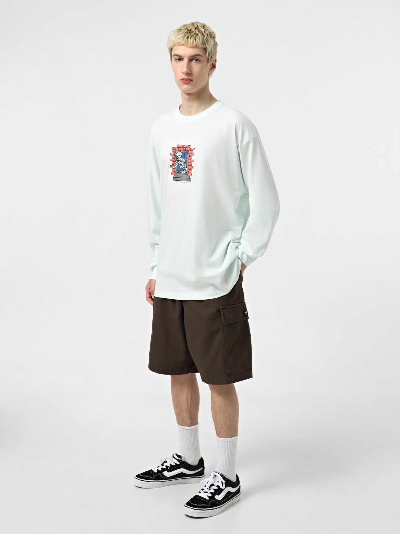 Лонгслив Vans Skull Window модель VN000M6WRNE1 Фото