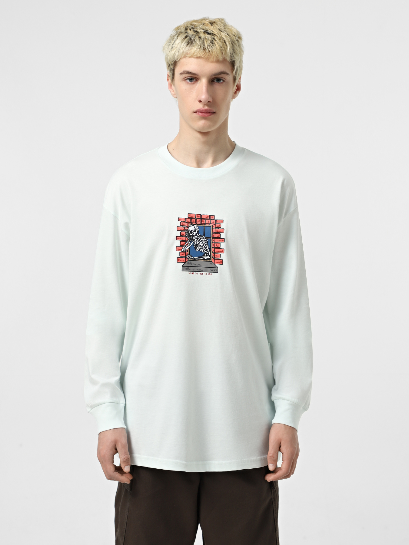 Лонгслив Vans Skull Window модель VN000M6WRNE1 Фото