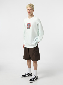 Лонгслив Vans Skull Window модель VN000M6WRNE1 Фото