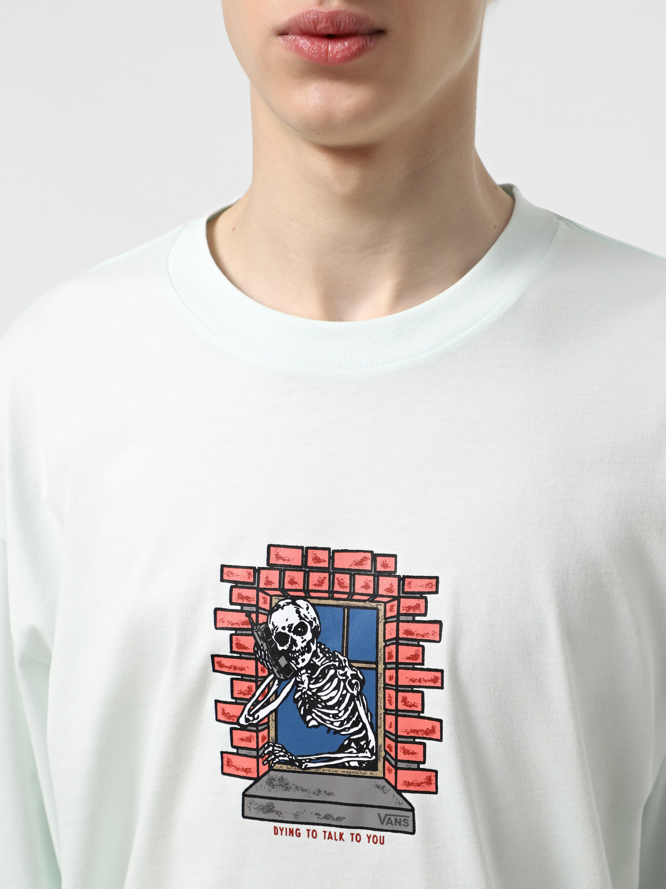 Лонгслів Vans Skull Window модель VN000M6WRNE1 Фото