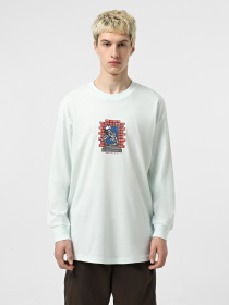 Лонгслів Vans Skull Window модель VN000M6WRNE1 Фото