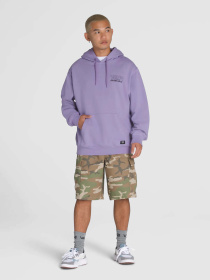 Худи Vans Shop Front Pullover модель VN000NHR6PH1 Фото