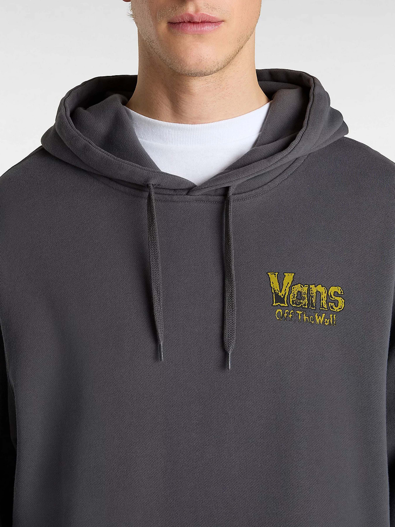 Худи Vans Z Legacy Loose Ft Po модель VN000NWP1O71 Фото