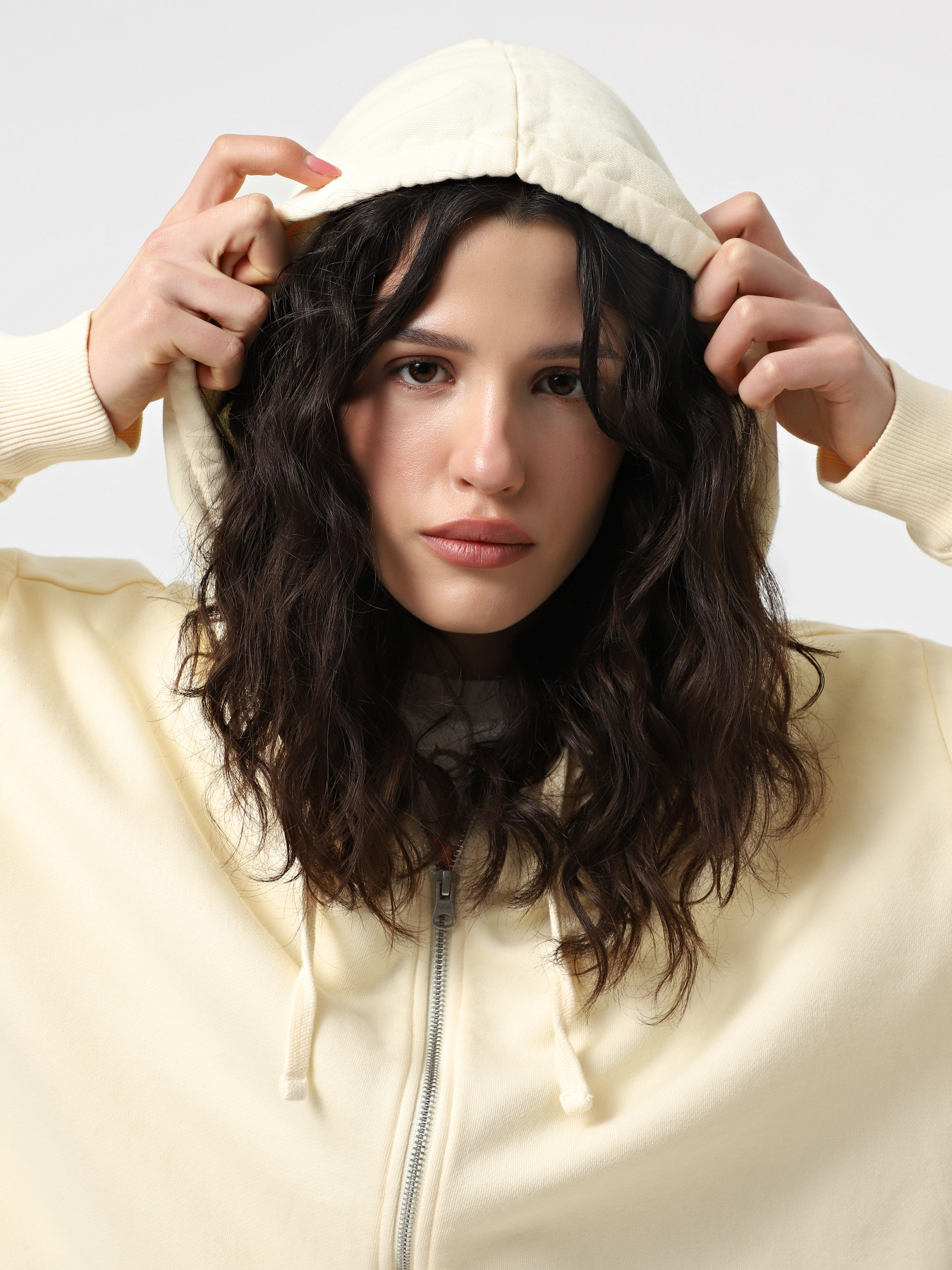 Кофта Vans Everyday OS Zip модель VN000GGBE301 Фото