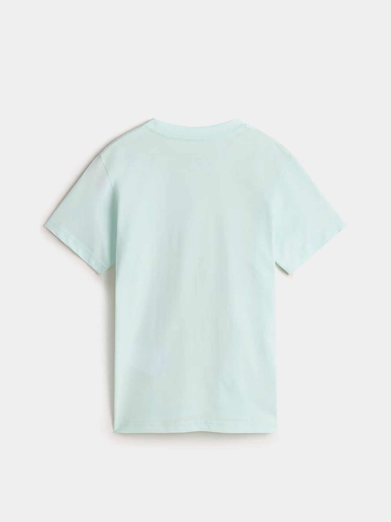 Футболка Vans Off The Paw модель VN000MMTRNE1 Фото