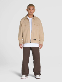 Демісезонна куртка Vans Mcavoy Zip Station модель VN000NPE4MG1 Фото