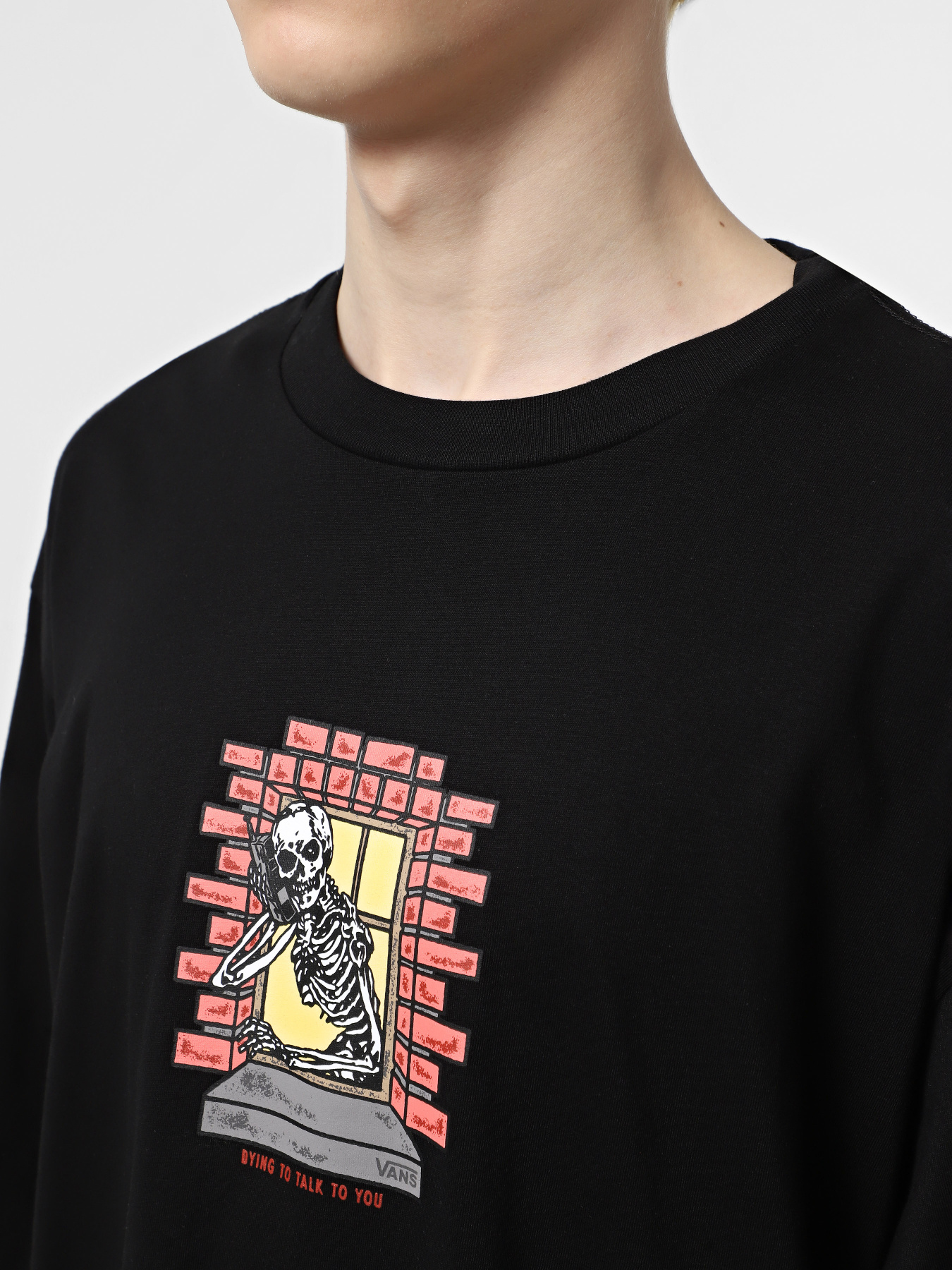 Лонгслив Vans Skull Window модель VN000M6WBLK1 Фото