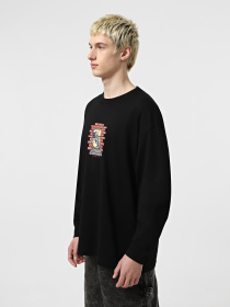 Лонгслив Vans Skull Window модель VN000M6WBLK1 Фото