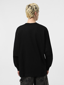 Лонгслив Vans Skull Window модель VN000M6WBLK1 Фото