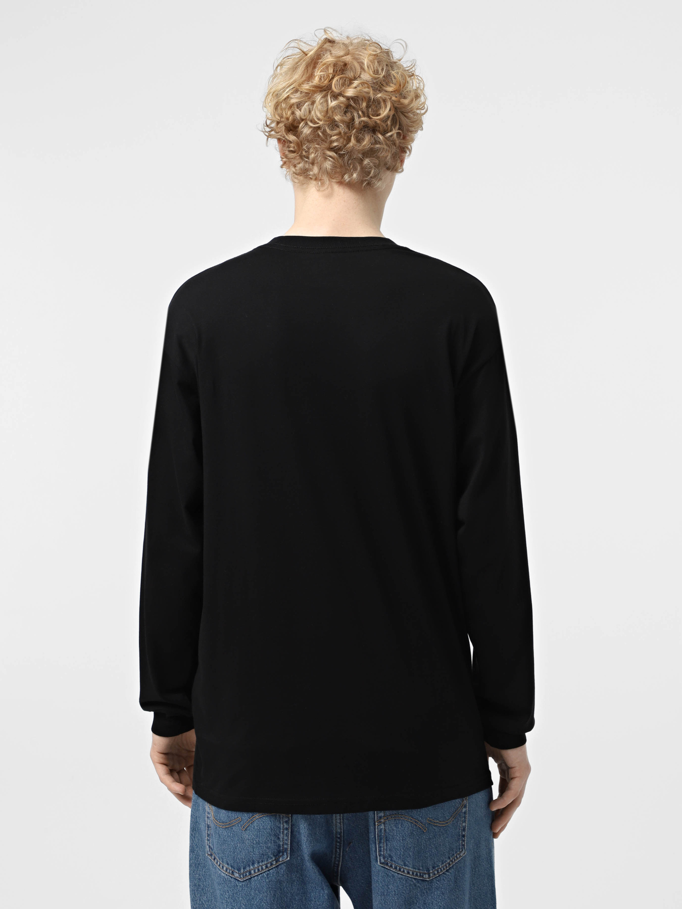 Лонгслів Vans Visual Minds модель VN000M5KBLK1 Фото