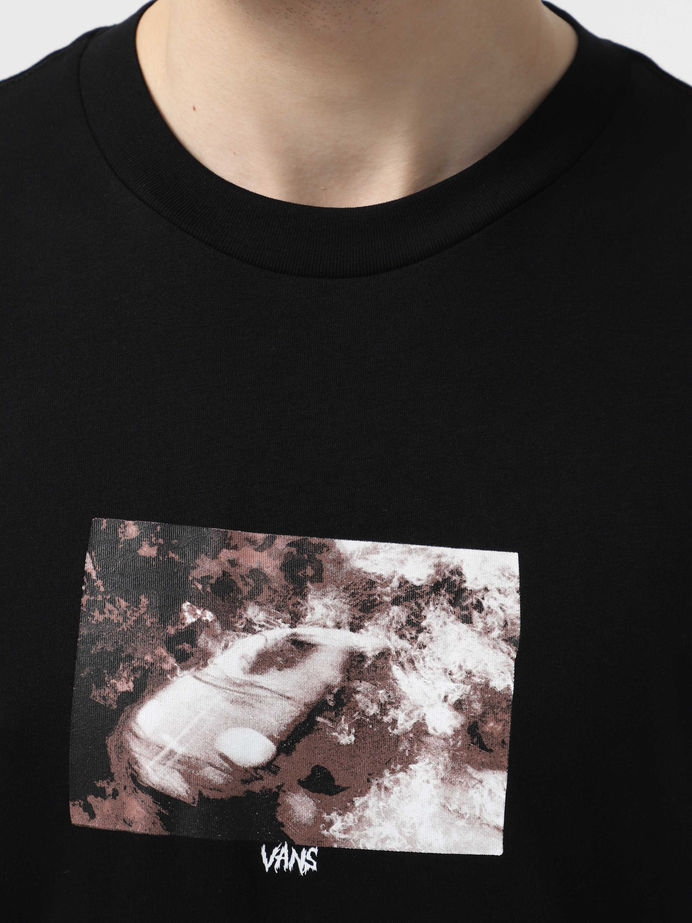 Футболка Vans Flammable модель VN000M5UBLK1 Фото