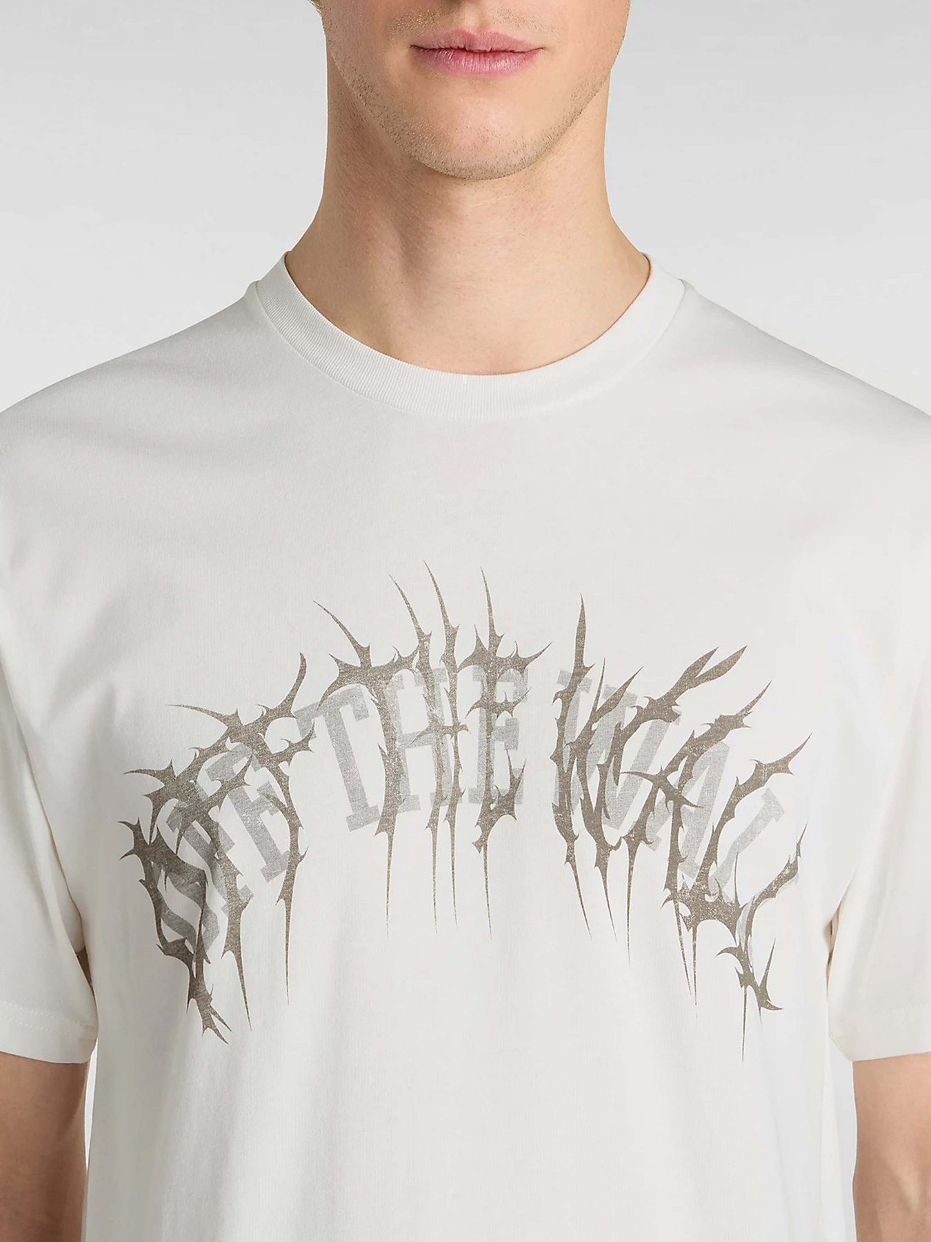 Футболка Vans Metal Arch модель VN000M47FS81 Фото