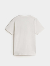 Футболка Vans Metal Arch модель VN000M47FS81 Фото