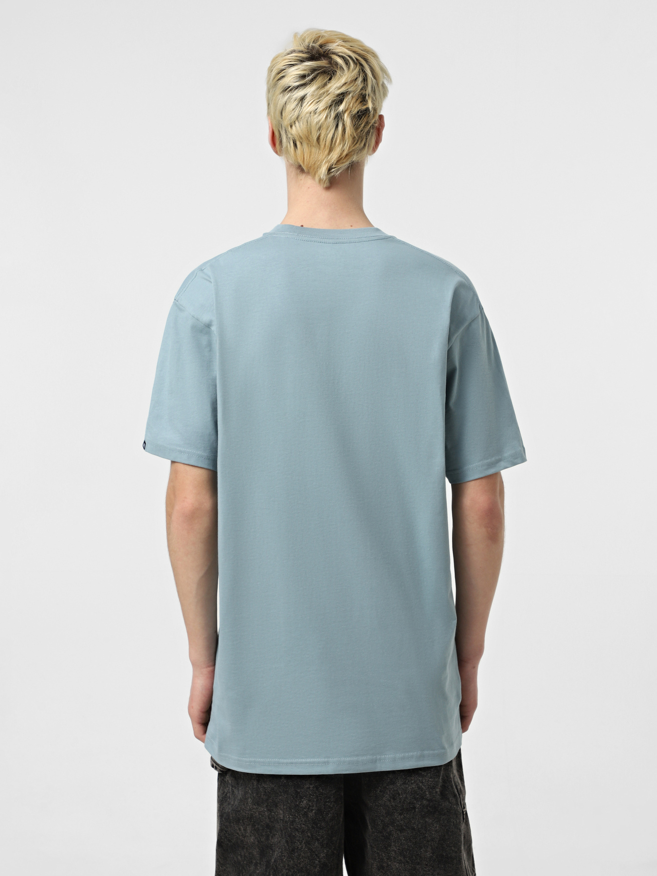 Футболка Vans Classic модель VN000GGGCFL1 Фото