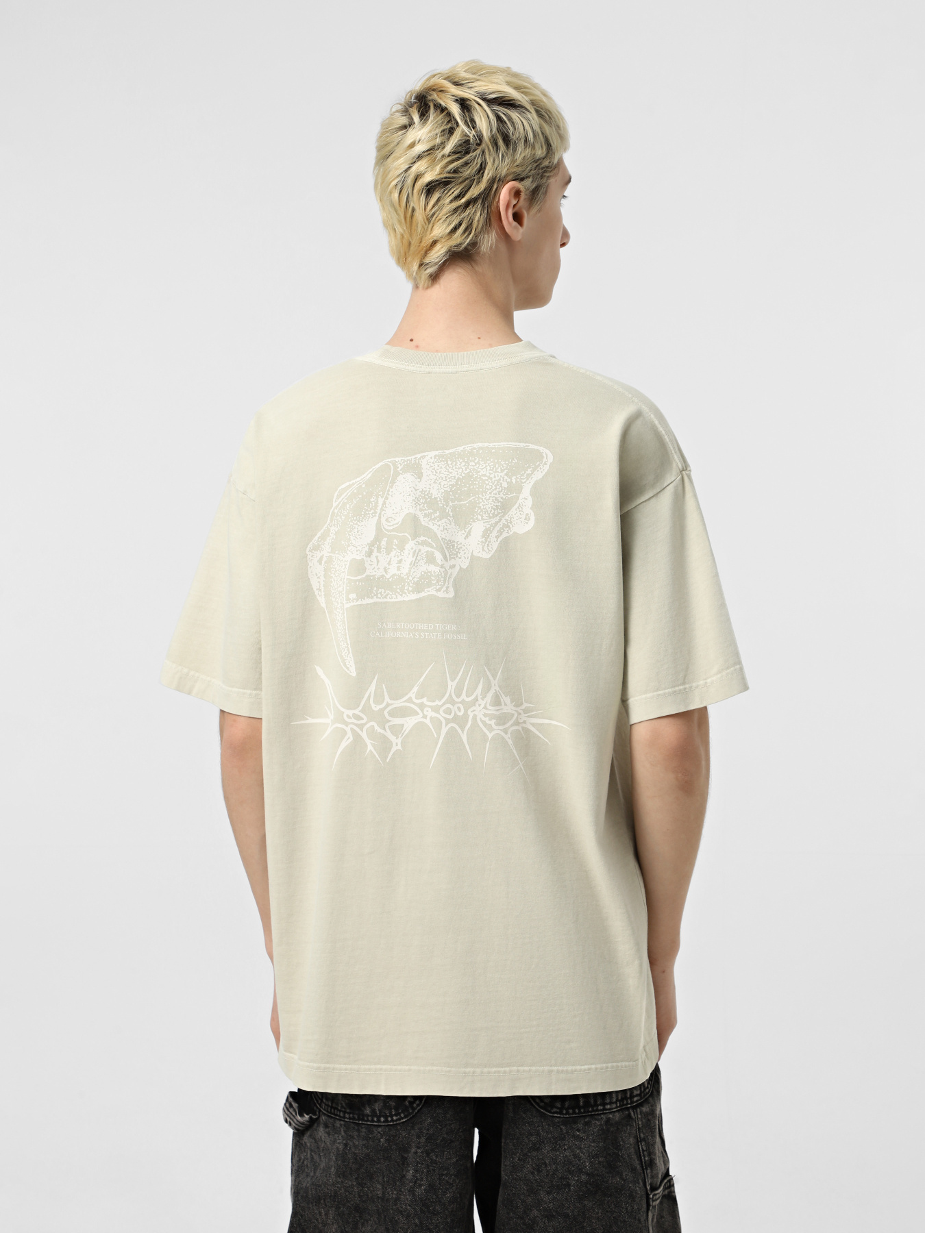 Футболка Vans MTE Sabertooth модель VN000M2RBYS1 Фото