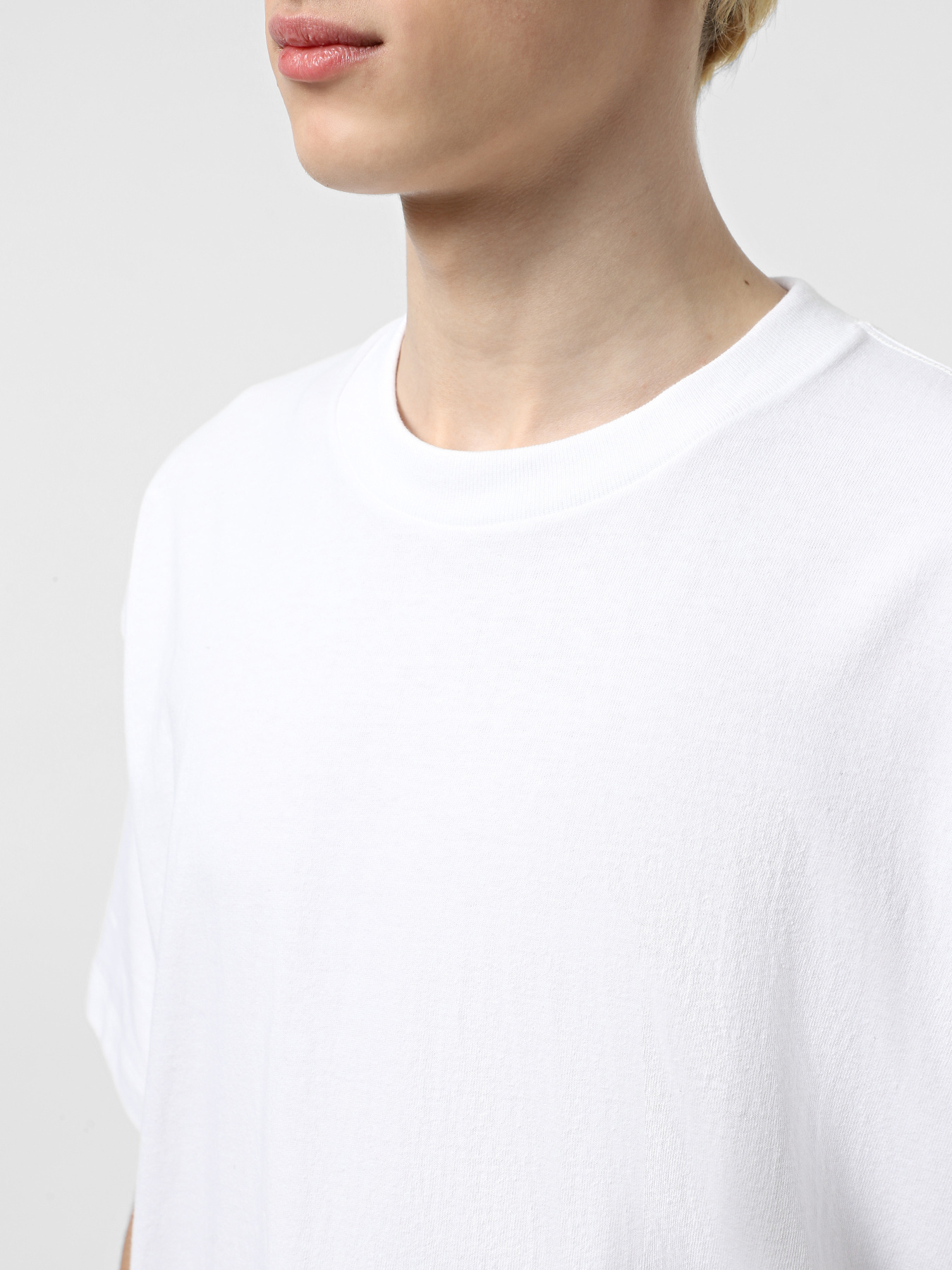 Футболка Vans Premium модель VN000P54WHT1 Фото