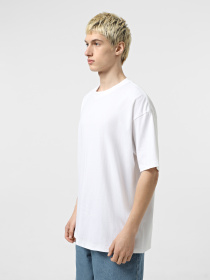 Футболка Vans Premium модель VN000P54WHT1 Фото