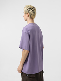 Футболка Vans Supernova модель VN000M5D6PH1 Фото