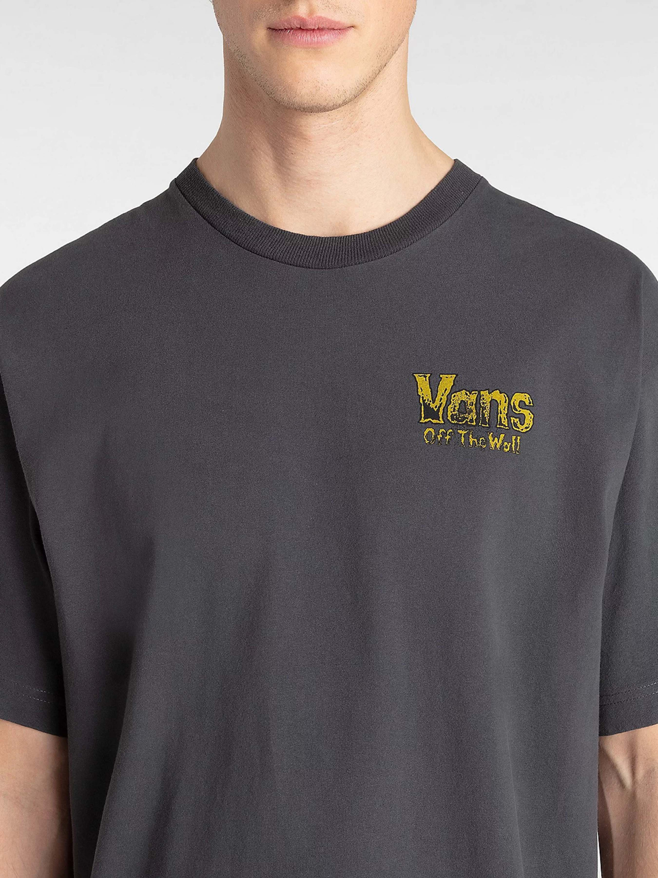 Футболка Vans Z Legacy Loose модель VN000NWN1O71 Футболка Vans Z Legacy Loose модель VN000NWN1O71 Фото