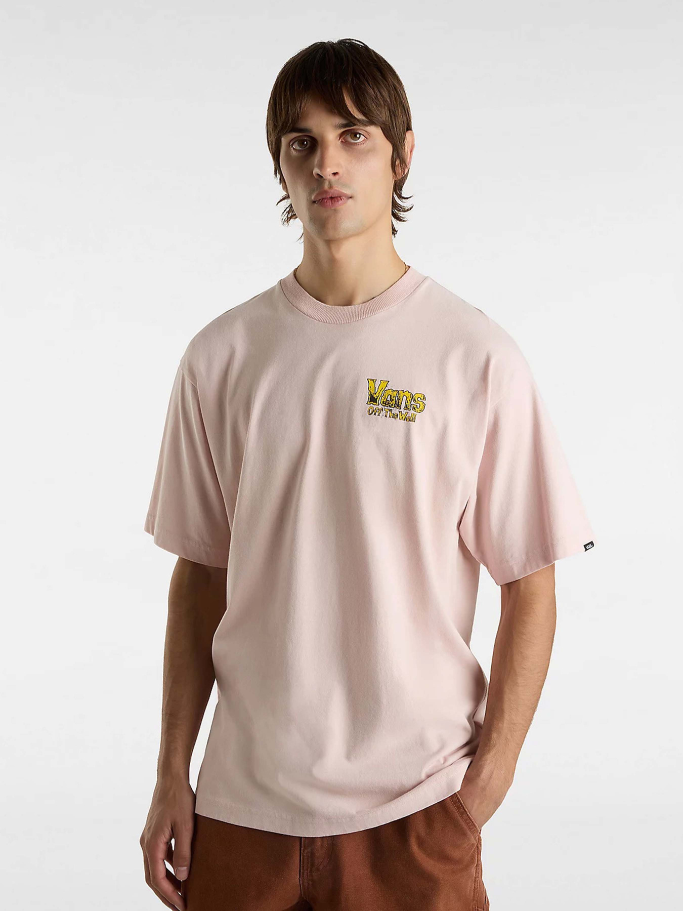 Футболка Vans Z Legacy Loose модель VN000NWNO3N1 Фото