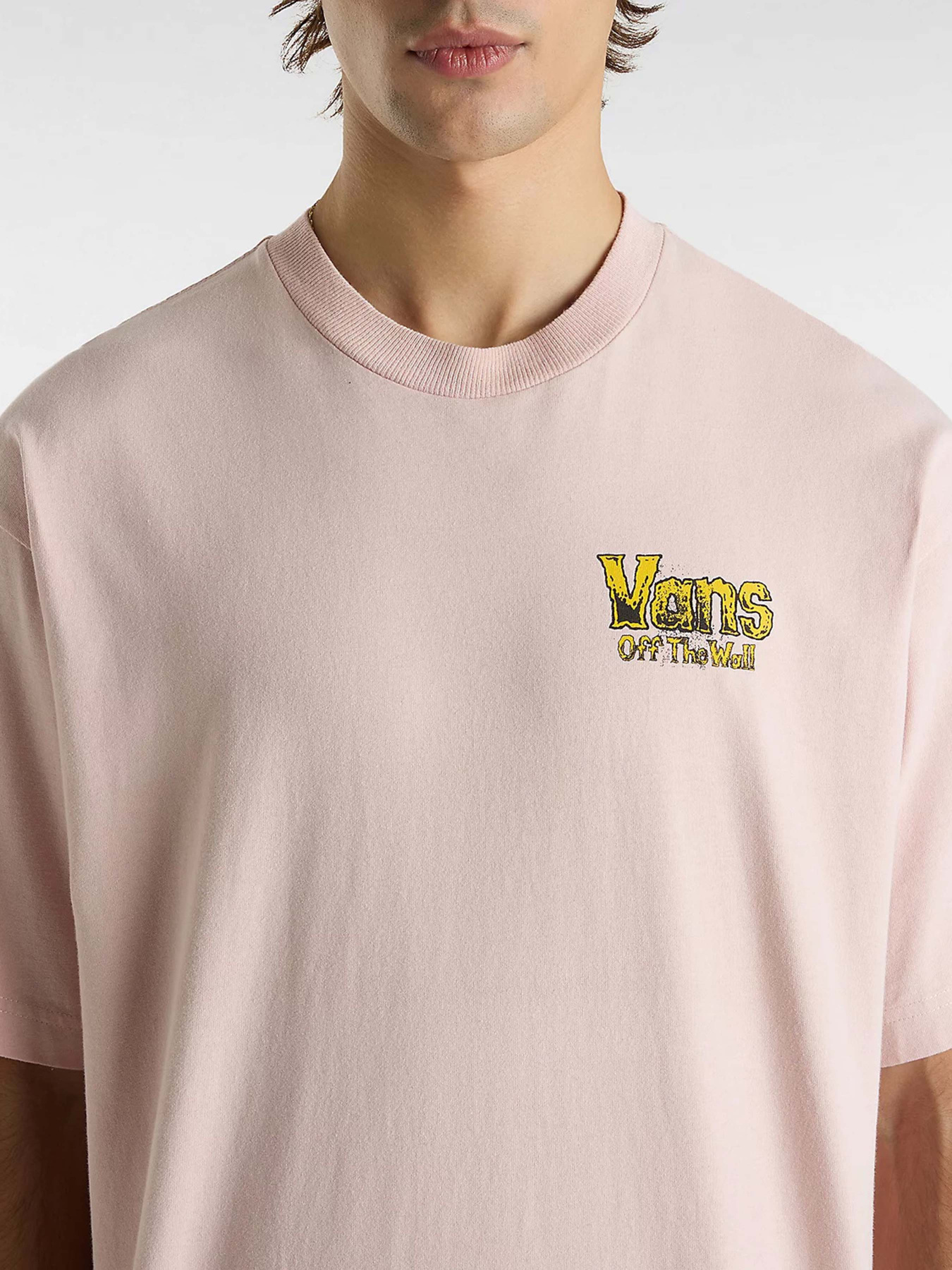 Футболка Vans Z Legacy Loose модель VN000NWNO3N1 Фото