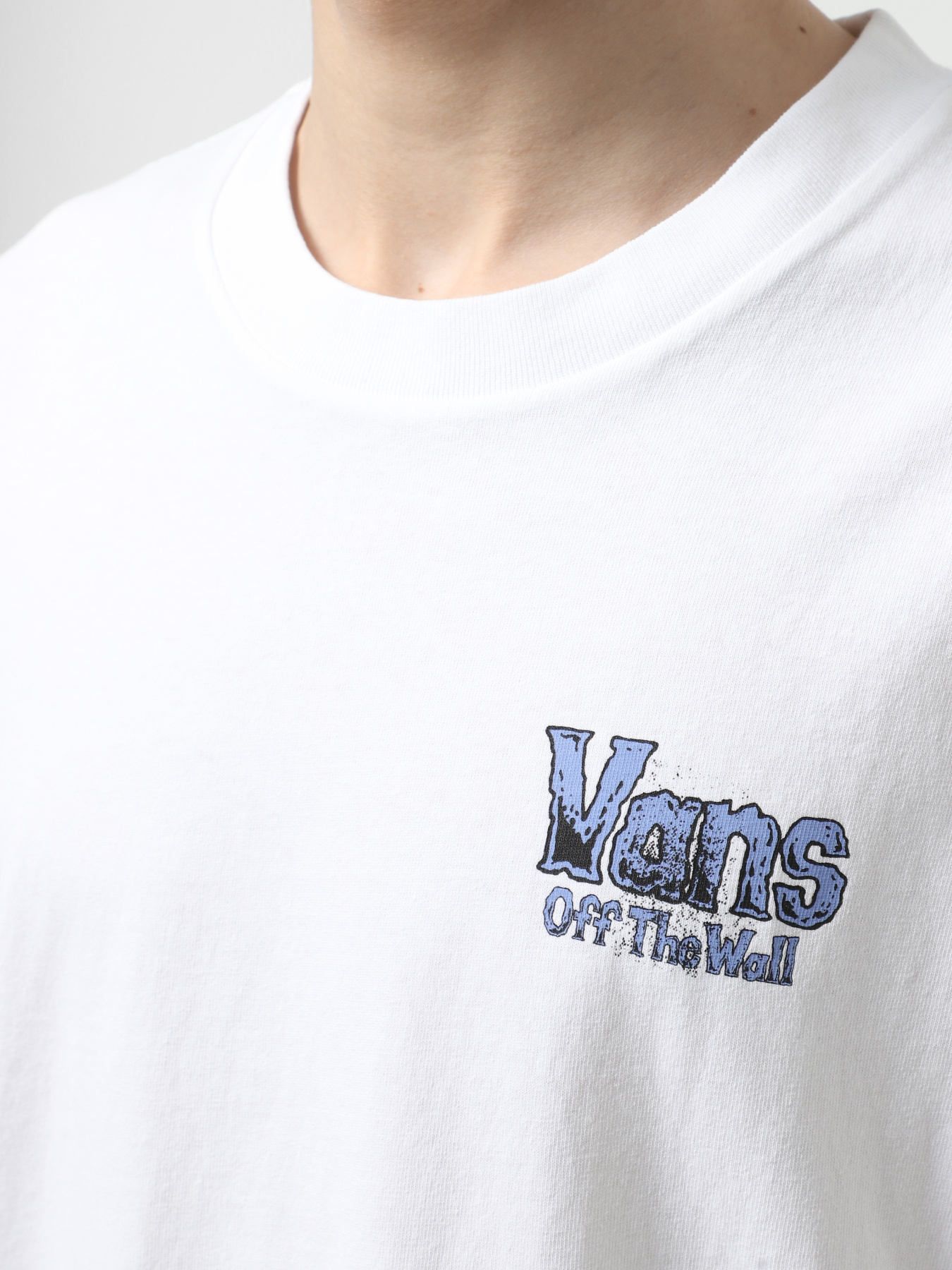 Футболка Vans Z Legacy Loose модель VN000NWNWHT1 Футболка Vans Z Legacy Loose модель VN000NWNWHT1 Фото