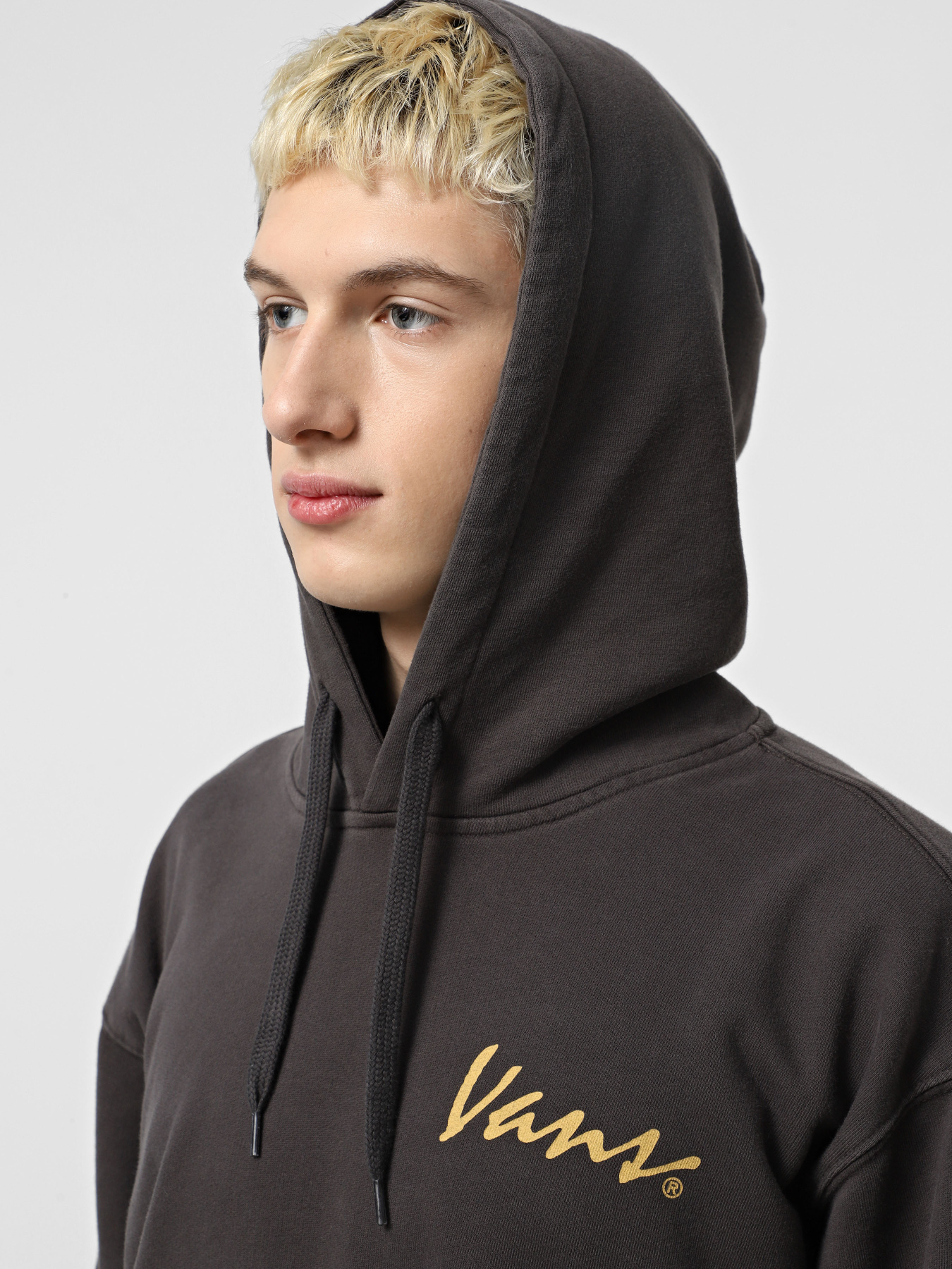 Худи Vans 66 Baked In Loose Ft Po модель VN000NU1BLK1 Фото