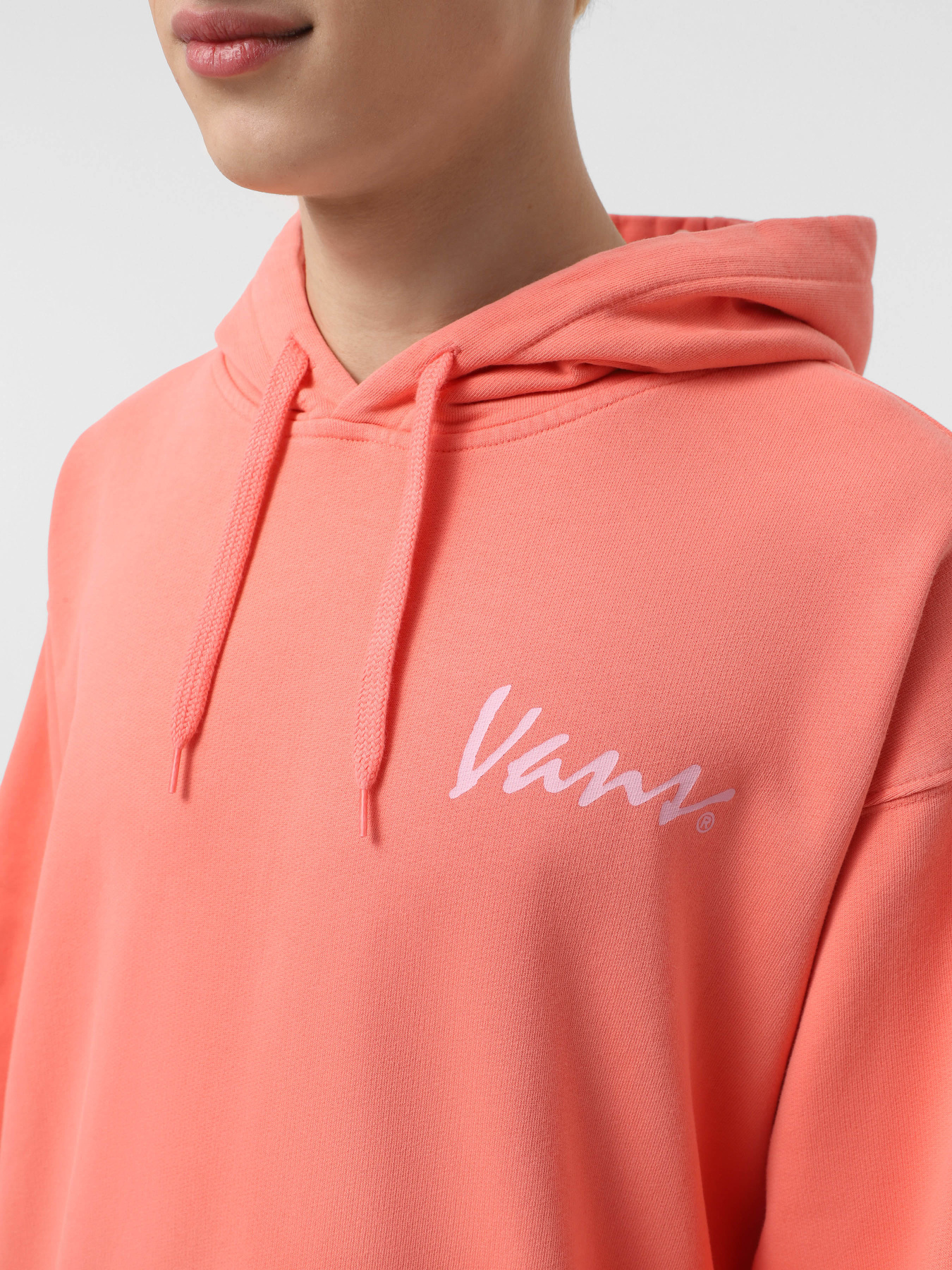 Худи Vans 66 Baked In Loose Ft Po модель VN000NU1D6Z1 Фото