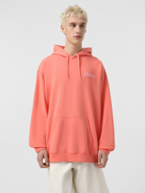 Худи Vans 66 Baked In Loose Ft Po модель VN000NU1D6Z1 Фото