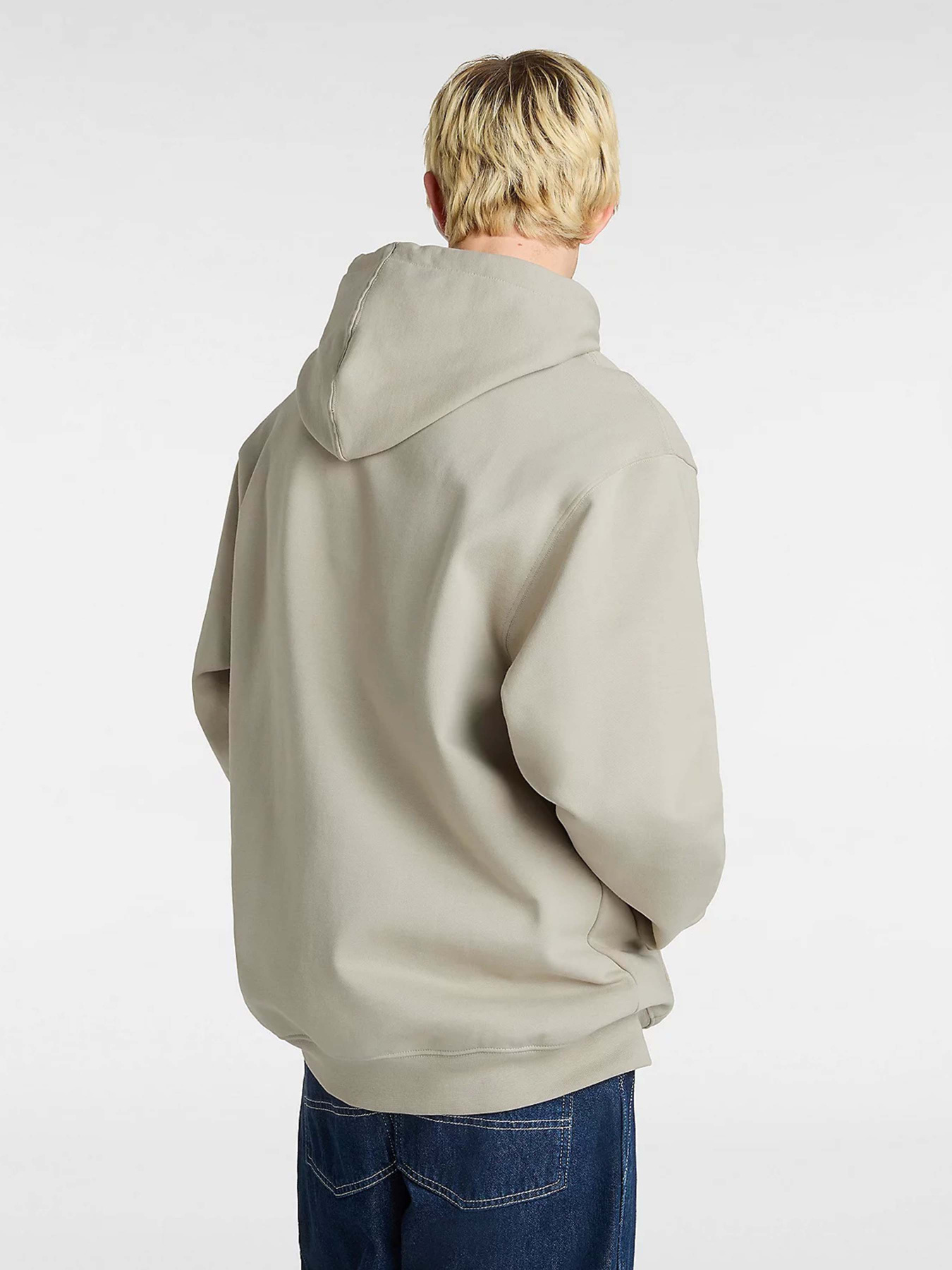 Худи Vans Metal Arch модель VN000M1NZUJ1 Фото