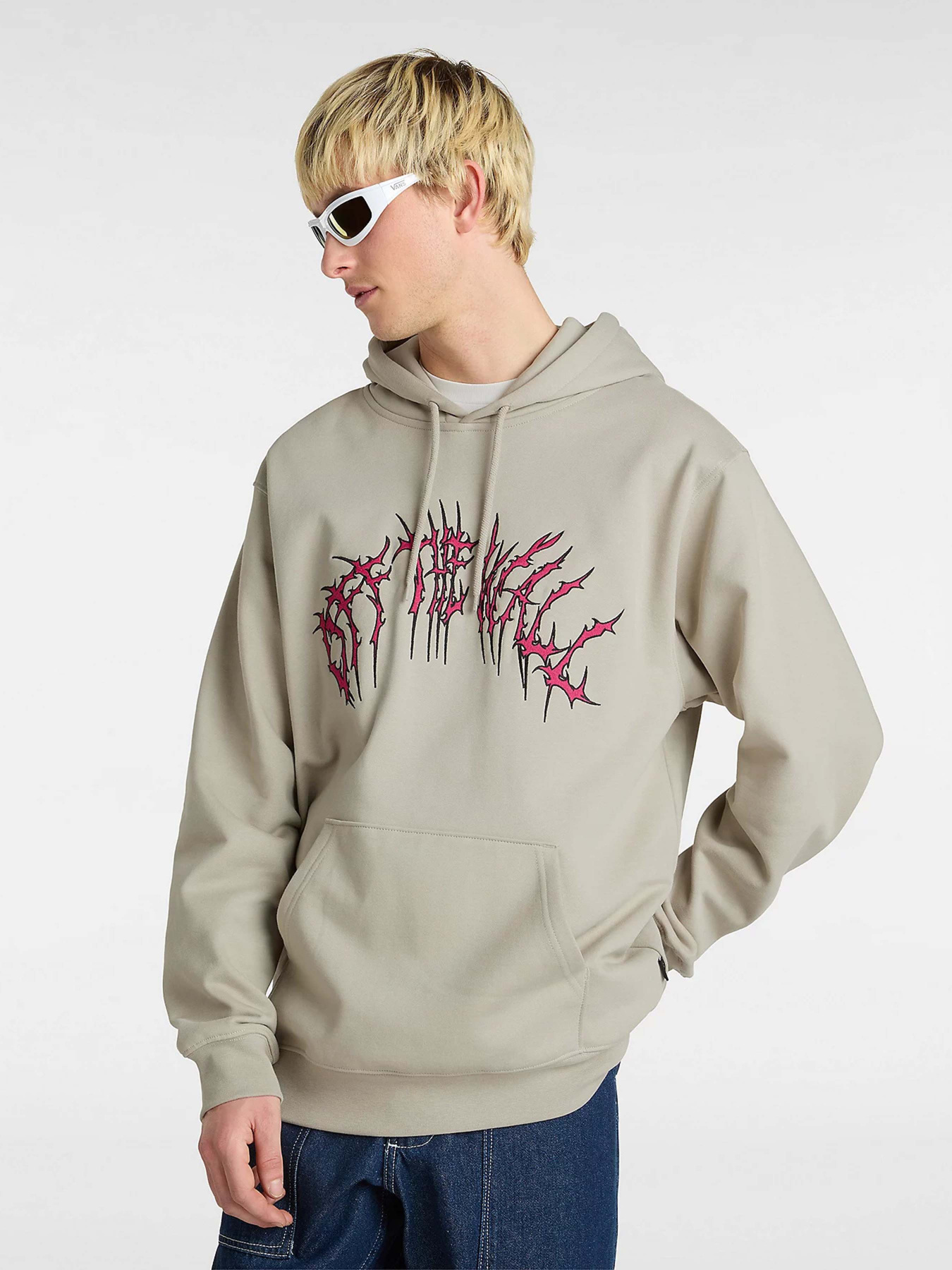 Худи Vans Metal Arch модель VN000M1NZUJ1 Фото