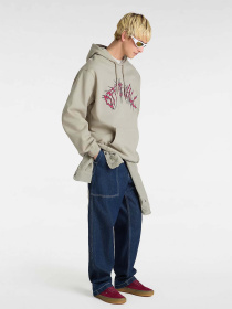 Худи Vans Metal Arch модель VN000M1NZUJ1 Фото