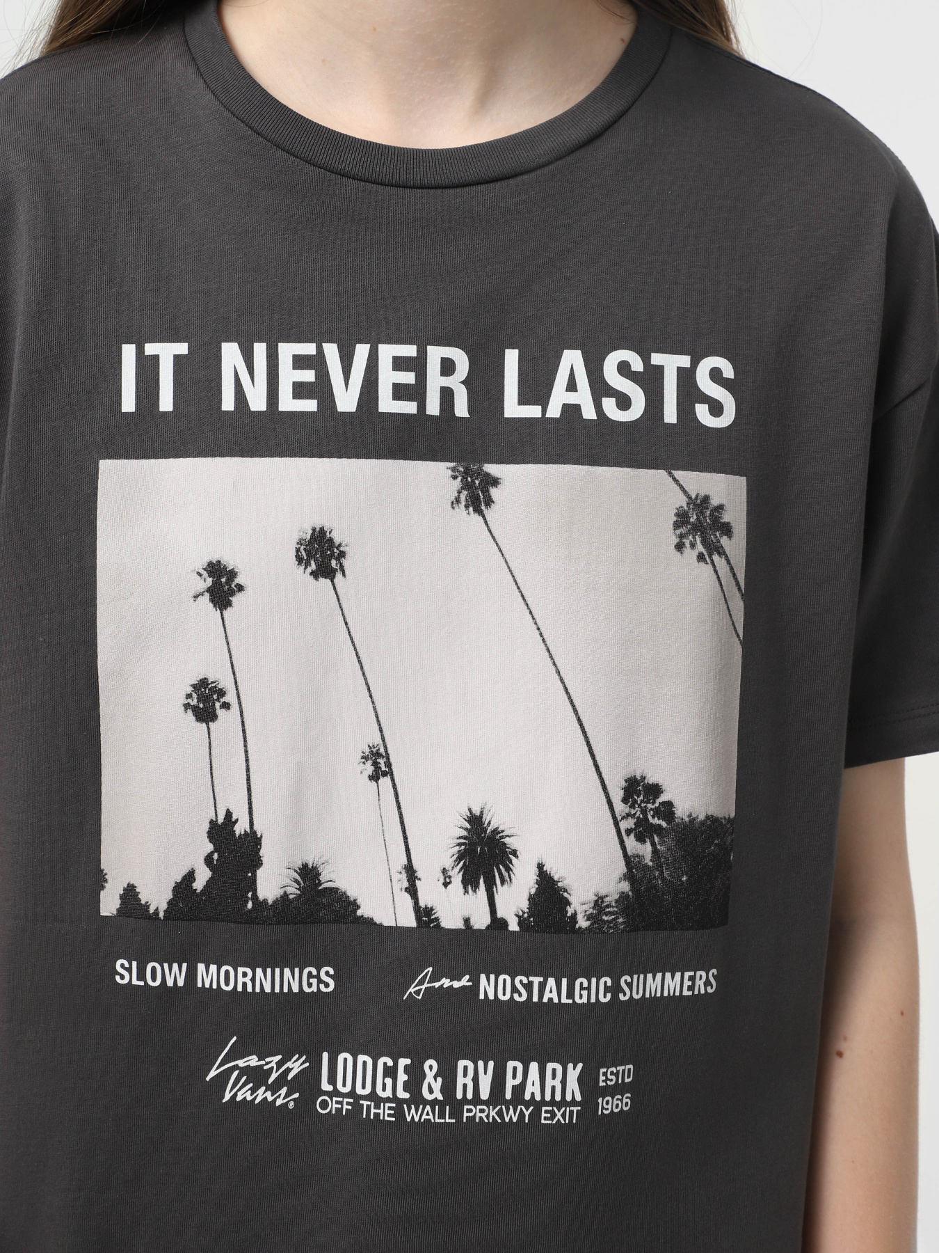 Футболка Vans Neverlasting модель VN000MD01O71 Фото