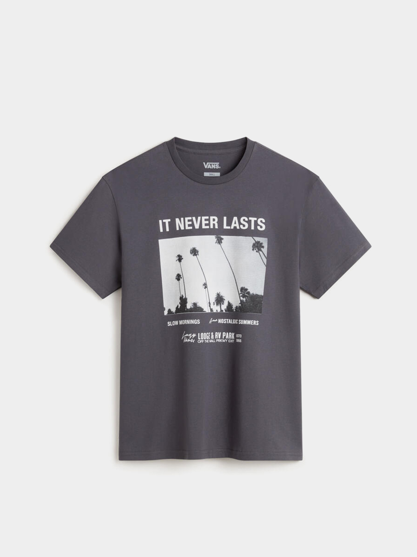 Футболка Vans Neverlasting модель VN000MD01O71 Фото