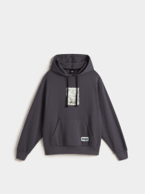 Худи Vans Missed Flights Bloussant модель VN000MAB1O71 Фото