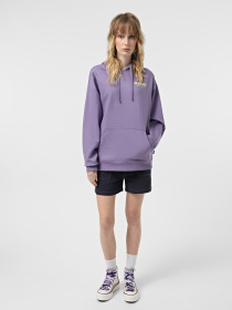 Худи Vans Suspension OS модель VN000MAF6PH1 Фото