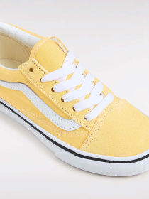 Кеди низькі Vans Old Skool модель VN000CY8P1T1 Фото