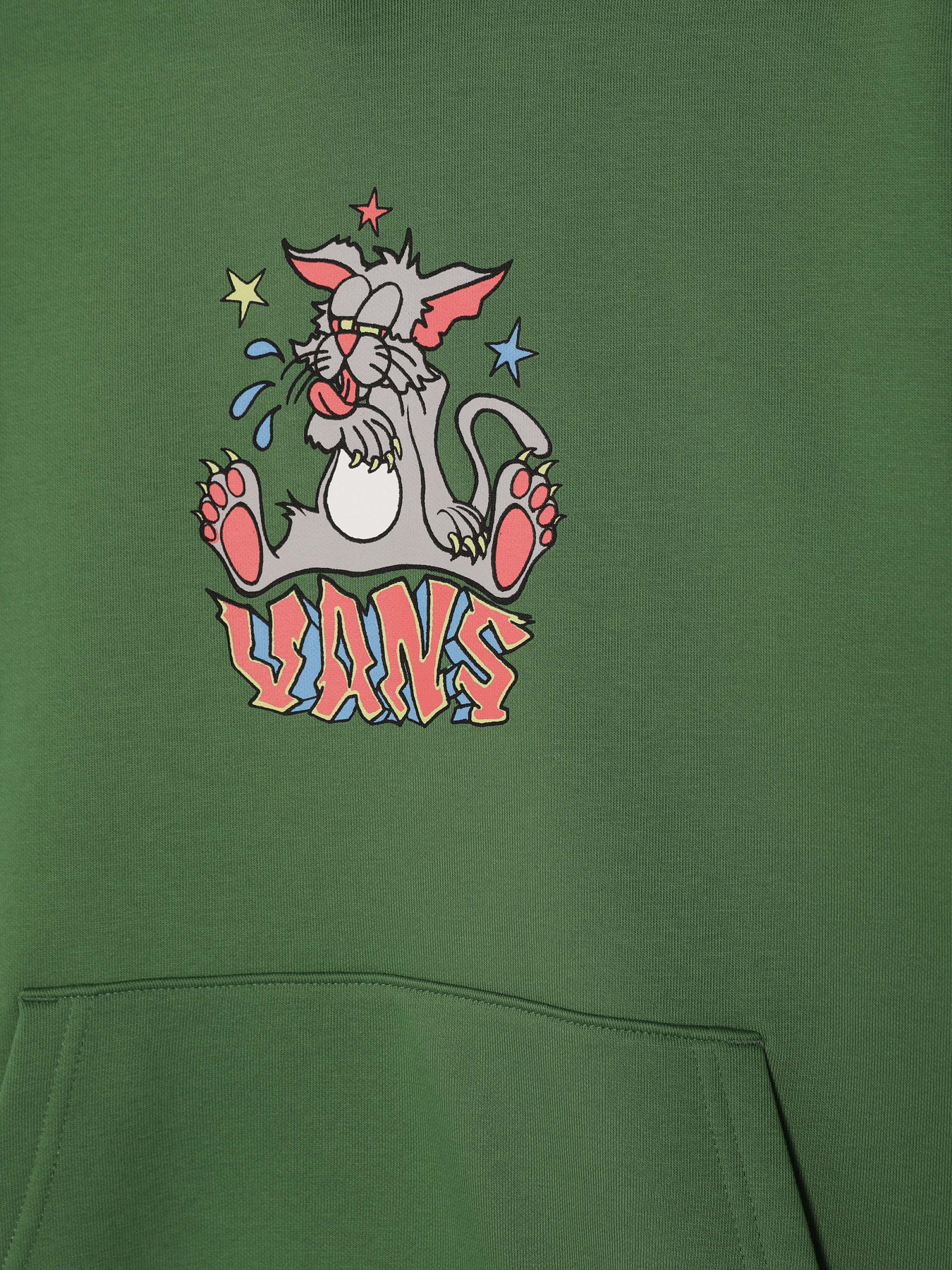 Худи Vans Freeze Loose модель VN000MH6BR11 Фото