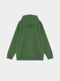 Худи Vans Freeze Loose модель VN000MH6BR11 Фото